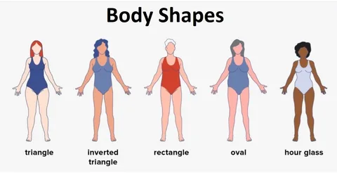 Discover Your Body Shape: The Ultimate Guide to Using Our Body Shape Calculator