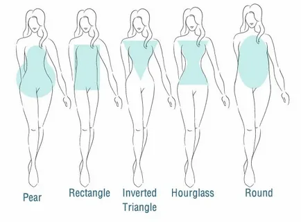Discover Your Body Shape: The Ultimate Guide to Using Our Body Shape Calculator