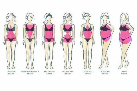 Discover Your Body Shape: The Ultimate Guide to Using Our Body Shape Calculator
