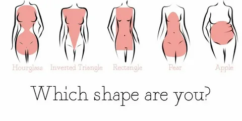 Discover Your Body Shape: The Ultimate Guide to Using Our Body Shape Calculator